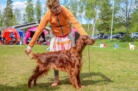 Smila-ISF Säter 2016